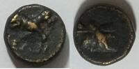 Pisidien AR 10 mm Gorgoneion Rs. Athenakopf, Astragalos -