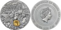 Ghana 10 Cedis Bumblebee Nature Architects 2 oz Antique finish Silver Coin 10 Cedis Republic of Ghana 2023 -
