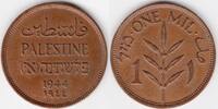  1944 Palestine  