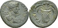 Aiolis Elaia Hadrian AE 117-138 n.Chr. SS+