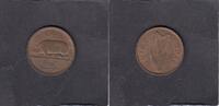 Ireland 1/2 Penny PIG KM.10 -