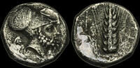 GREEK - Italy LUCANIA. Metapontion, Circa 340-330 BC. Didrachm or Nomos. -
