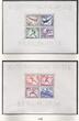 Deutsches Reich 3x Block 1936 Blocks, Braunes Band & Olympia postfrisch