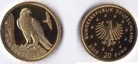 BRD 20 Euro Heimische Vögel - Wanderfalke 1/8 Unze Gold -