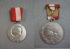 Kaiserreich, Hessen Erinnerungsmedaille -Infanterie Regiment "Kaiser Wilhelm"- -