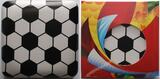 10 Dollar<br>1/2 oz<br>15,87g<br> fein<br> 34 mm Ø Frauenfußball Weltmeisterschaft 2015 in Kanada, <b> -Die Feier- 6/6 </b> <b>FB</b>