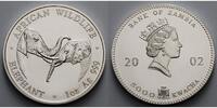 Sambia/Zambia 5000 Kwacha<br>1 oz<br>Ø 39 mm Elefant - African Wildlife 4. Ausgabe <b>matt</b> -