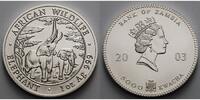 Sambia/Zambia 5000 Kwacha<br>1 oz<br>Ø 39 mm Elefant - African Wildlife 5. Ausgabe <b>matt</b> -