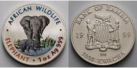 Sambia/Zambia 5000 Kwacha<br>1 oz<br>Ø 39 mm Elefant - African Wildlife 1. Ausgabe <b>farbig</b> in Kapsel -