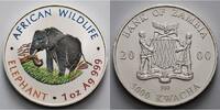 Sambia/Zambia 5000 Kwacha<br>1 oz<br>Ø 39 mm Elefant - African Wildlife 2. Ausgabe <b>farbig</b> in Kapsel -