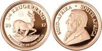 Südafrika 1/4 oz<br> 7,78g<br> fein<br> 22,00 mm Ø Krügerrand 1/4 oz. - Springbock <b> Jubiläum -50 Jahre Krügerrand- </b>SELTEN! -