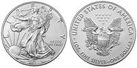 USA 1 $ Silber Eagle, mit Patina Flecken, <b>vorletzte Münze mit Typ I - </b> -