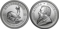 Süd Afrika 1 oz<br> 31,1g<br> fein<br> 38,72 mm Ø Krügerrand 1 oz. - Springbock, <b> Der 6. Krügerrand in Silber - NEU !!!</b> -