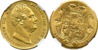 G.BRITAIN 1SOV G. Britain William IIII GOLD Sovereign Key Date -