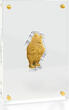 Niue 25$ 2026 1/4 oz Gold Coin Disney - Winnie the Pooh - Celebrating 100 Years FB