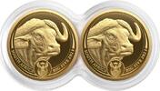Südafrika 100 Rand 2023 2 x 1/4 oz Gold Coins Big Five Series II - Buffalo - Double Capsule - Set FB