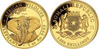 Somalia 1000 Schilling 2021 1 oz Gold Coin Elephant ST 6150,00 EUR  + 40,00 EUR frais d'envoi