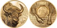 Mongolei 25000 Togrog 1 oz Gold Coin Wild Mongolia - Bison - Ultra High Relief -