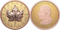 Kanada 200$ 2025 1 oz Gold Coin Maple Leaf - Ultra High Relief Reverse P... 4700,00 EUR  + 10,00 EUR frais d'envoi