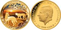 Niue 100$ 2026 1 oz Gold Coin Colours of Australia - Golden Deserts PP 6500,00 EUR  + 40,00 EUR frais d'envoi