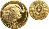 Südafrika 50 Rand 2023 1 oz Gold Coin Big Five Series II - Buffalo PP 4850,00 EUR  + 10,00 EUR frais d'envoi