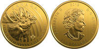 Kanada 200$ 2019 1 oz Gold Coin Call of the Wild - Moose  4000,00 EUR  + 10,00 EUR frais d'envoi