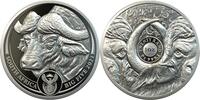 Südafrika 20 Rand 1 oz Platinum Coin Big Five Series I - Buffalo -