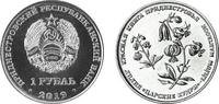Transnistria Transnistria 1 Roebel 2019 Martagon Lily -