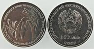 Transnistria Transnistria 1 Roebel 2020 'Snowdrop' -