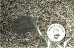 Tuvalu Tuvalu 2022 1 Dollar Homer Simpson in Blister Perth Mint -