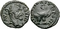 Moesia Inferior Bronze Septimius Severus Nikopolis Istros Moesien Bronze Adler Kranz Mouchmov 980 var. -